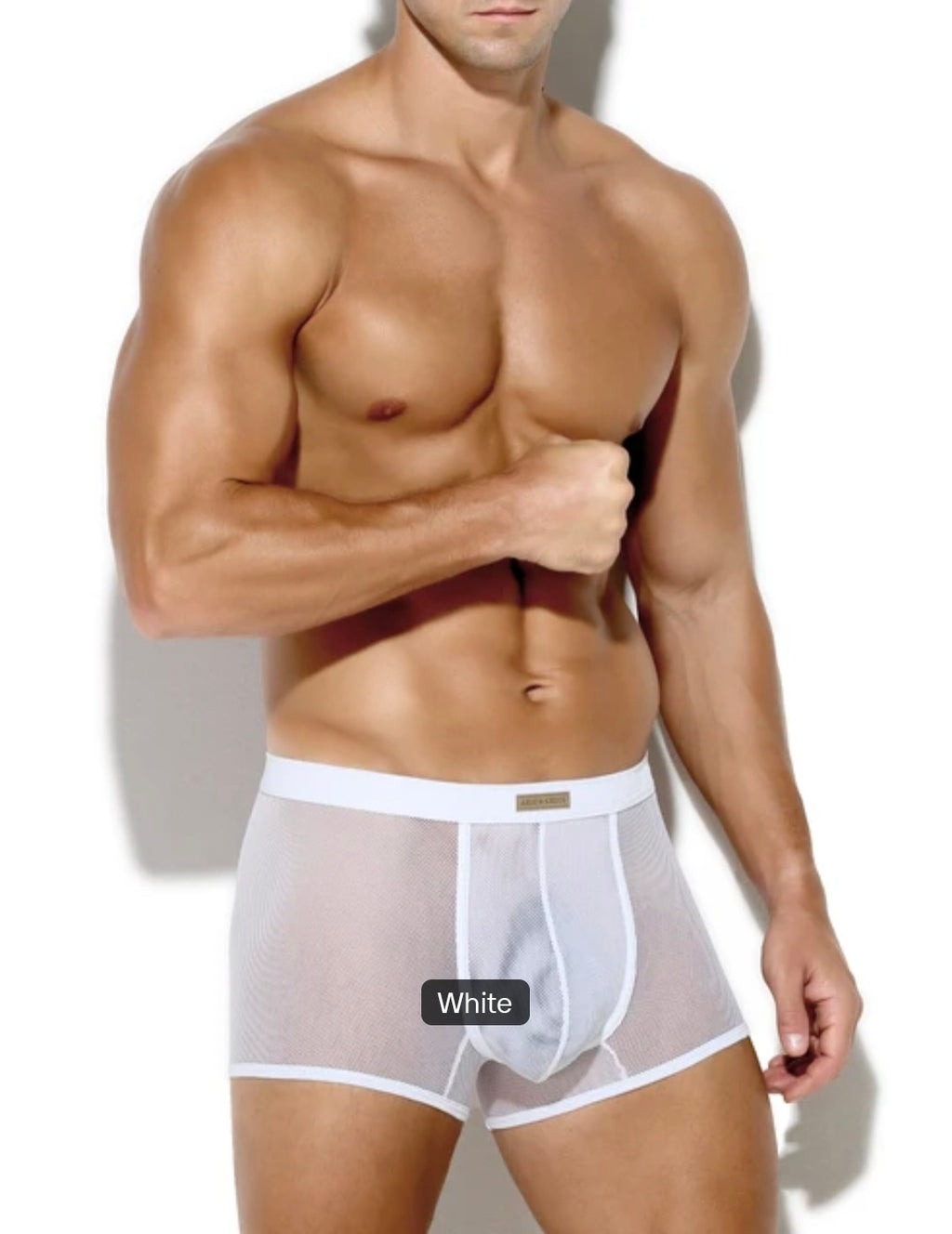 Transparent Lace Mesh Low Rise Boxers