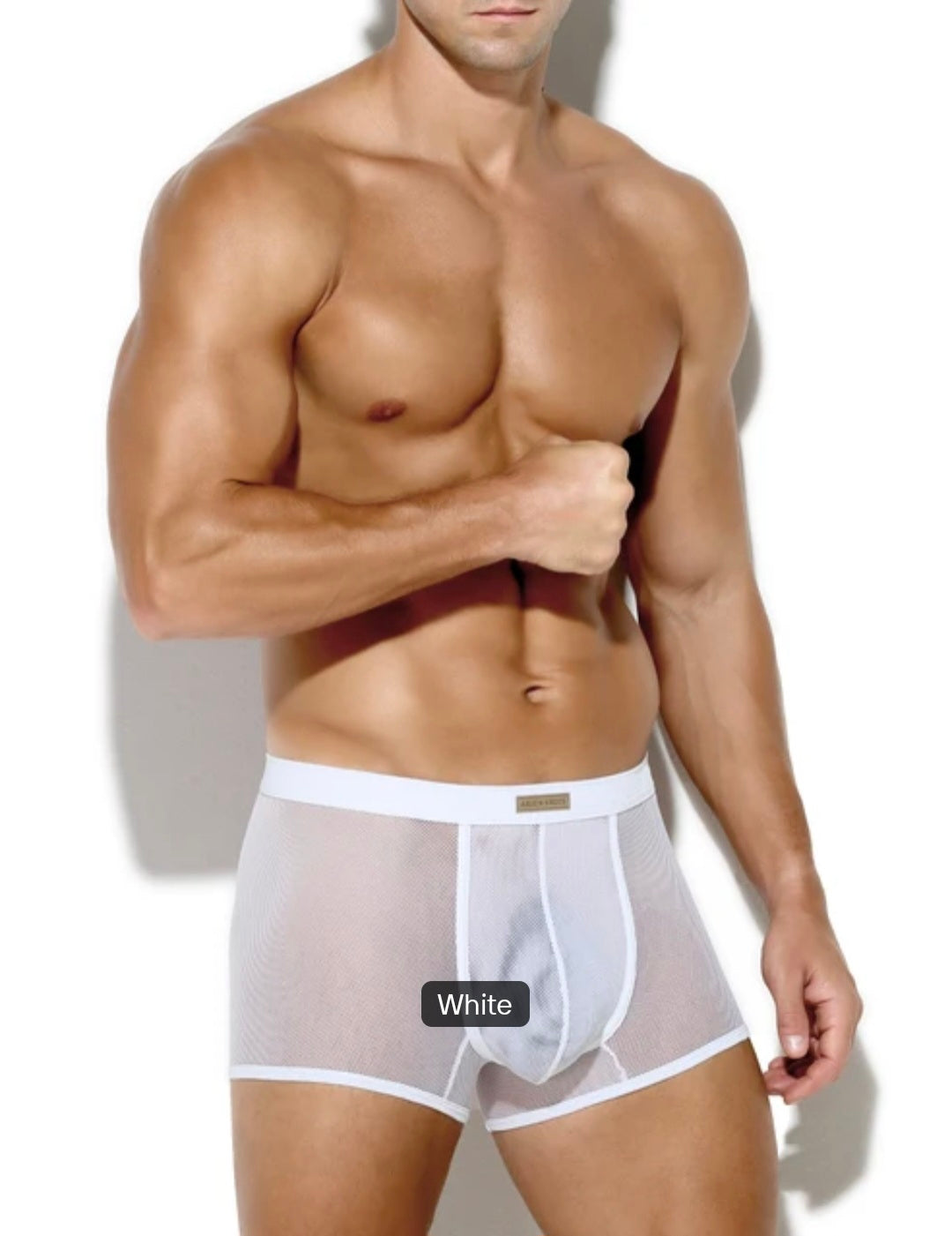 Transparent Lace Mesh Low Rise Boxers