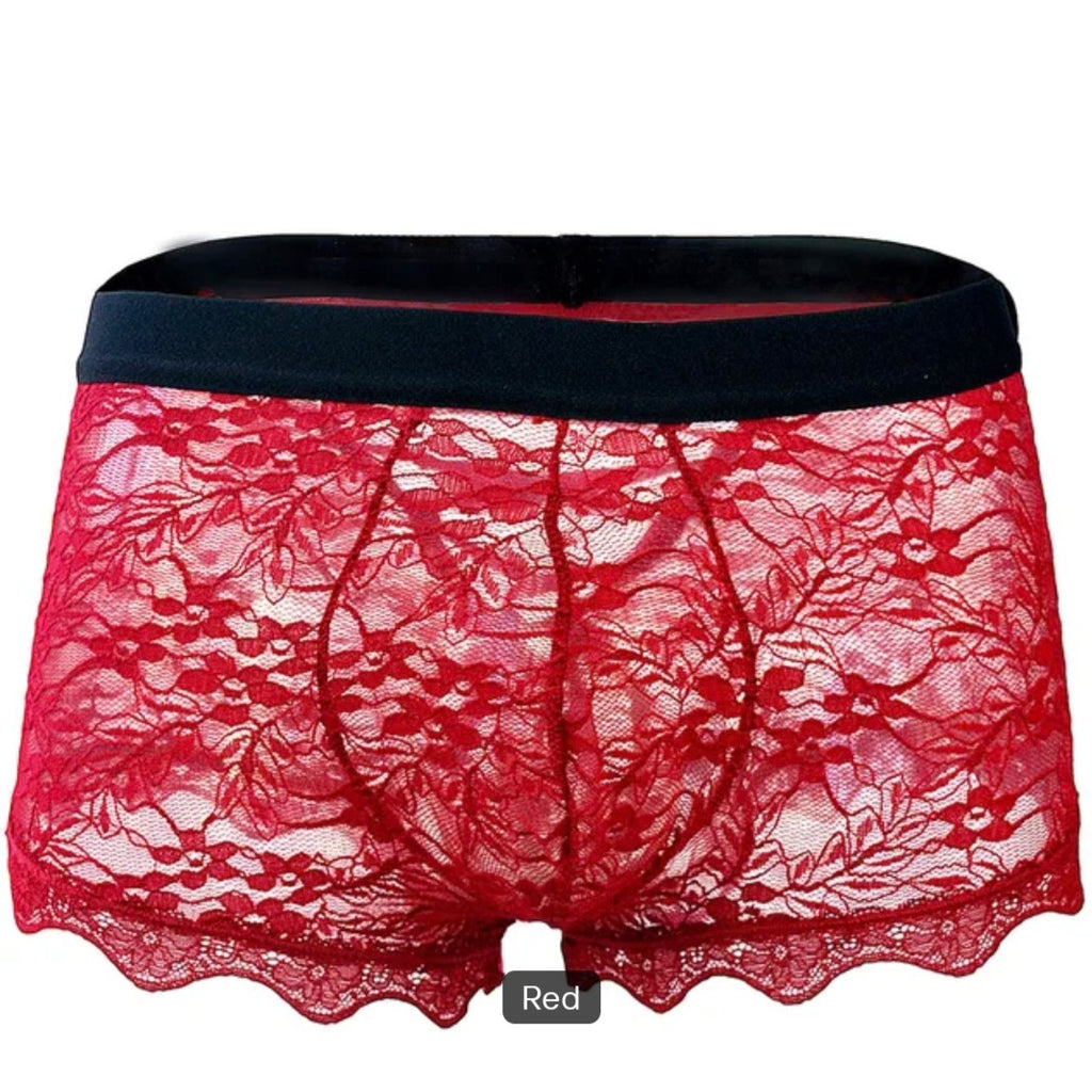 Transparent Ribbon & Lace Embroidered Boxer Shorts